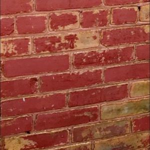 Meet your Posher, Ann